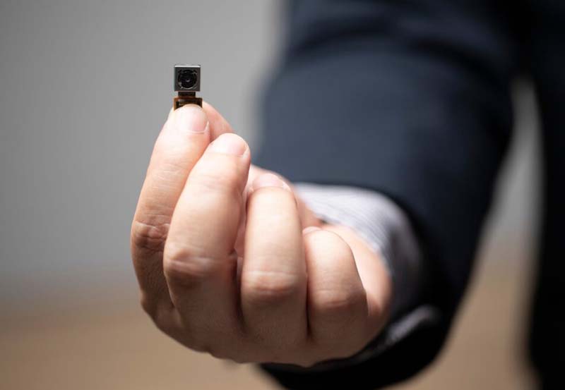 Los Angeles Bug Sweeps